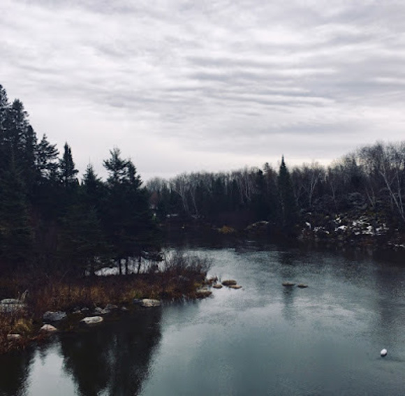 Meet your Posher, Ren - Picture 1 of 1